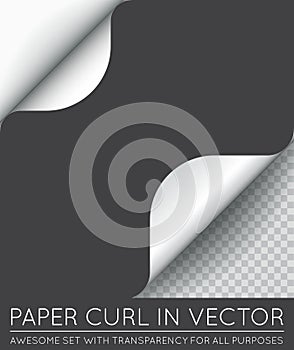 Vector Paper Page Curl with Shadow Isolated.