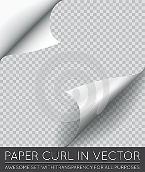 Vector Paper Page Curl with Shadow Isolated. photo