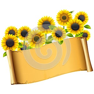 Vector Paper Placard with Sunflowers