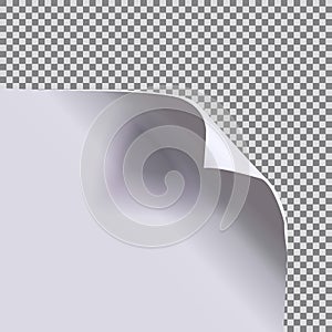 Vector paper sheet with a curled corner isolated on transporent background, blank page.