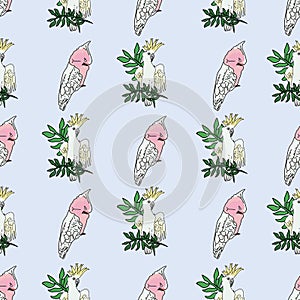 Vector pastel blue background tropical birds, parrots, exotic cheese plant, monstera, hibiscus flowers. Seamless pattern