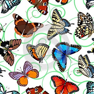 Vector pattern of colored butterflies.