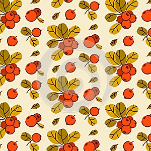 Vector pattern of cowberry, lingonberry and cranberry. Isolated illustration of a raw berry on a branch, a handful of