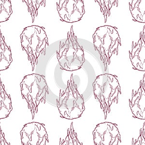 Vector pattern of dragon fruit in sketch style