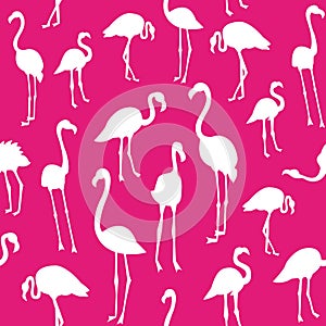 Vector pattern with flamingo bird silhouette.