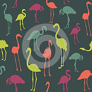 Vector pattern with flamingo bird silhouette.