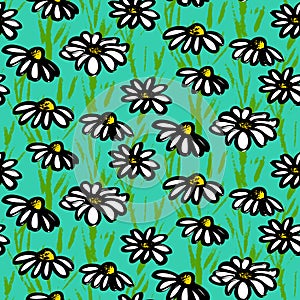 Vector pattern with hand drawn daisy flowers