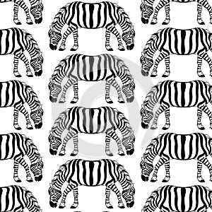 Vector pattern with hand drawn illustration of zebra with two heads