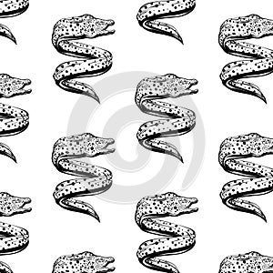 Vector pattern with hand drawn iluustration of moray eels isolated.