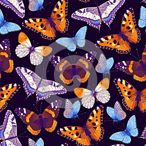 Vector pattern with high detailed butterfly