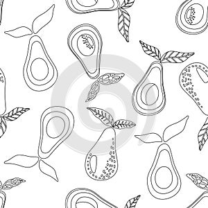 Vector pattern with out line drawn avocado set with leaf on white background. Detailed food drawing.