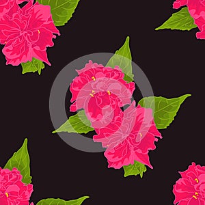 Vector Pattern of Pink Flower on Black Background