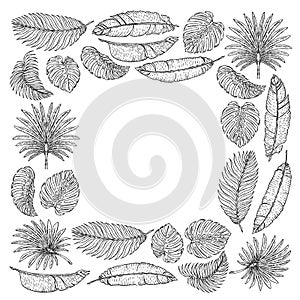 Vector pattern with tropical leaves. Palm tree. Philodendron. Cute vintage garden.