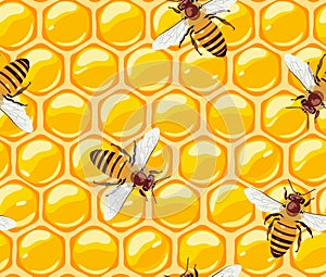 Seamless pattern with bees and honeycomb. Honey. Useful insects. Vector.
