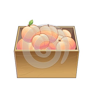 Vector peaches in wooden box