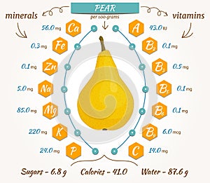 Vector pear infographics.