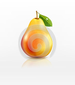 Vector pear isolated on white background