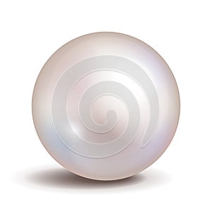 Vector pearl isolated on white background. Shiny oyster ball for luxury accessories