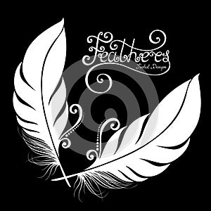 Vector Peerless Decorative Feather