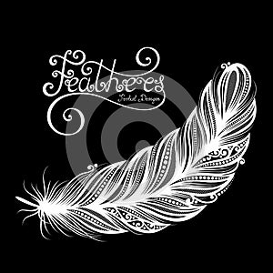 Vector Peerless Decorative Feather