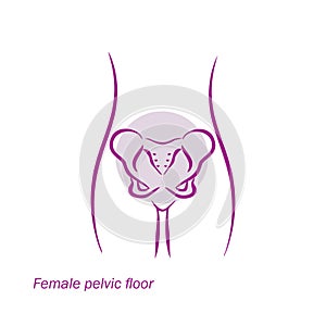 Vector pelvic floor woman simple strokes photo