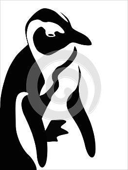 Vector penguin figure