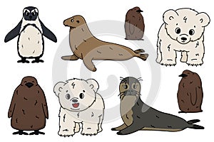 Vector Penguin, king penguin chick, fur seal, polar bear cub, small Common seal. Set of isolated small cartoon outline cute sea