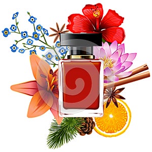 Vector Perfume with Ingredients