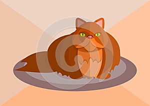 Vector persian cat image