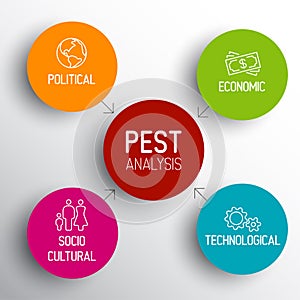 Vector PEST diagram schema