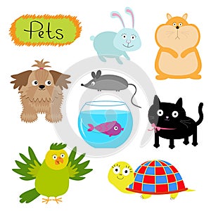 Vector pets illustration isolated Cute set White background Cat, dog, fish, hamster, parrot, turtle, rabbit Flat design