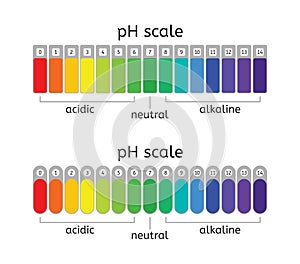 Vector ph scale of acidic,neutral and alkaline value chart