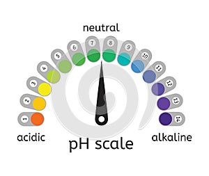 Vector ph scale of acidic,neutral and alkaline value chart