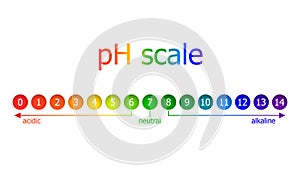 Vector pH Scale Scheme, Rainbow Colors, Isolated on White Background Illustration.