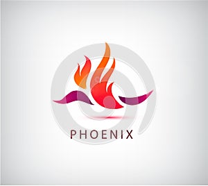 Vector phoenix bird icon, logo, illustration . Use for identity