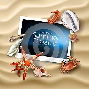 Vector photo frame lying on a background of sea sandy beach with seashells, pebbles, starfish and crab