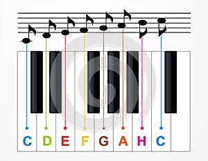 Vector piano keys and notes