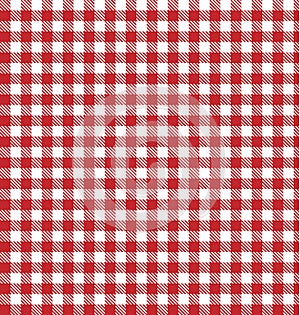 Picnic gingham table red blanket background checkered pattern cloth plaid white print vector texture fabric tablecloth checker and photo