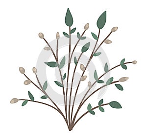 Vector picture of bush with buds and leaves. Little shrub isolated on white background. Flat spring garden illustration. Gardening