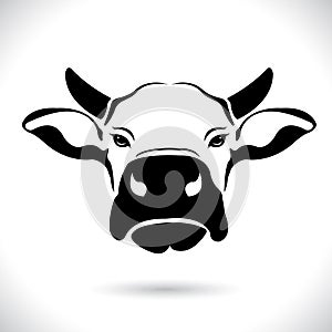 Vector of picture cow head design ,logo design,Farm Animals,Black and white picture,Line animal,on the white background