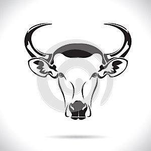 Vector of picture cow head design ,logo design,Farm Animals,Black and white picture,Line animal,on the white background