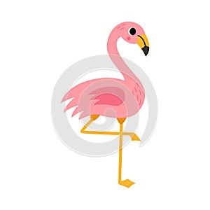 Vector picture of cute pink flamingo isolated on white background