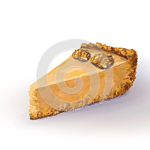 Vector piece of pumpkin cheesecake with two fresh walnut half, soft delicate creamy-curd cheese. Crisp, crumbly cake with back,