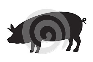 Vector pig silhouette side retro vintage template. Pork animal icon background. Pig farm
