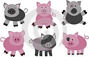 Vector pigs and boars