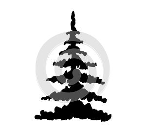 Vector pine tree black silhouette isolated on white