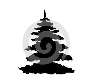 Vector pine tree black silhouette isolated on white