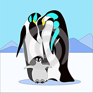 Vector pinguin family in flat style