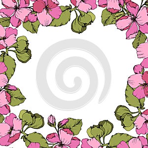 Vector Pink Apple blossom floral botanical flower. Engraved ink art. Frame border ornament square on white background.