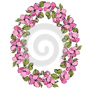 Vector Pink Apple blossom floral botanical flower. Engraved ink art. Frame border ornament square on white background.